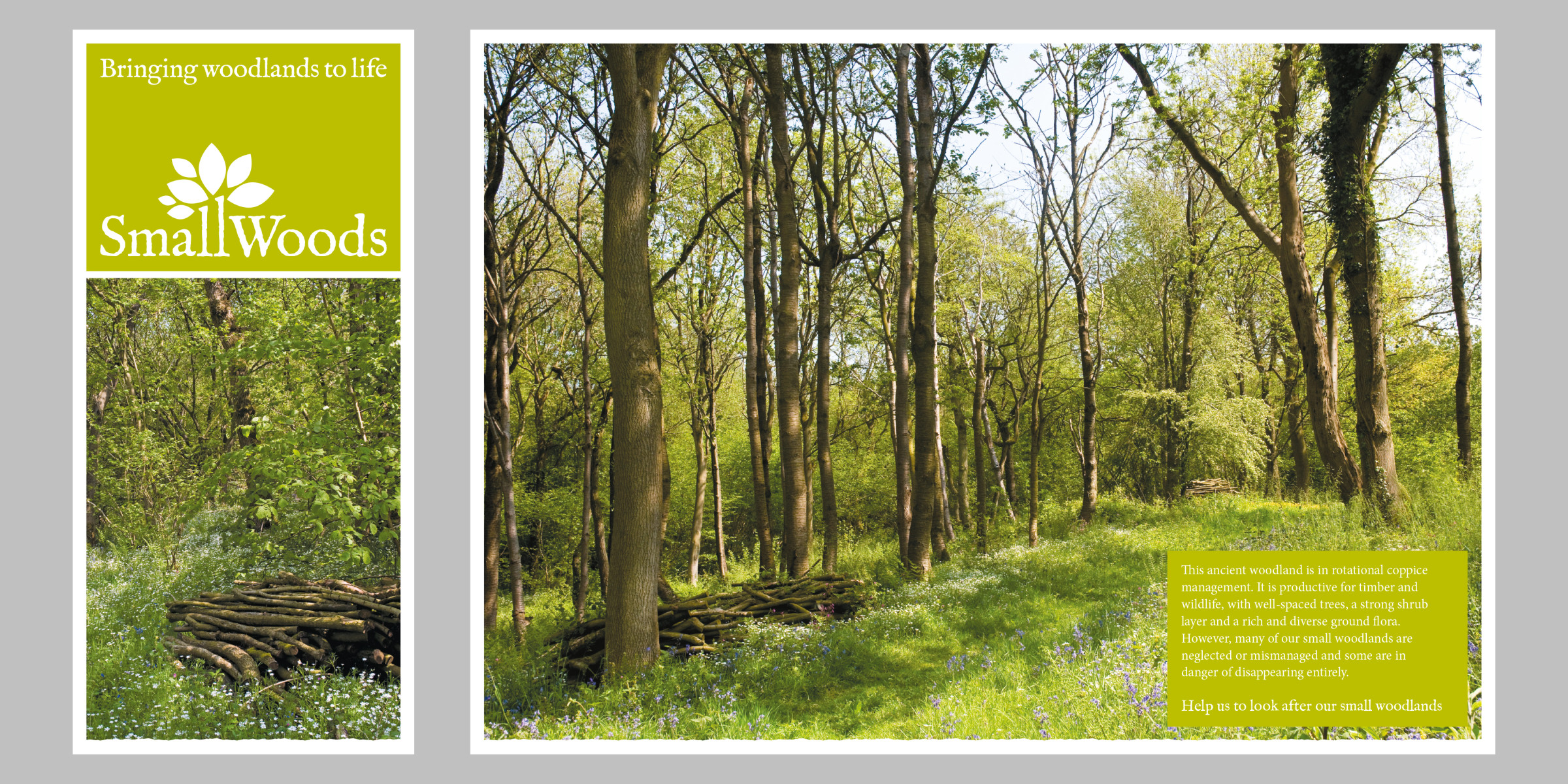Small Woods general leaflet
